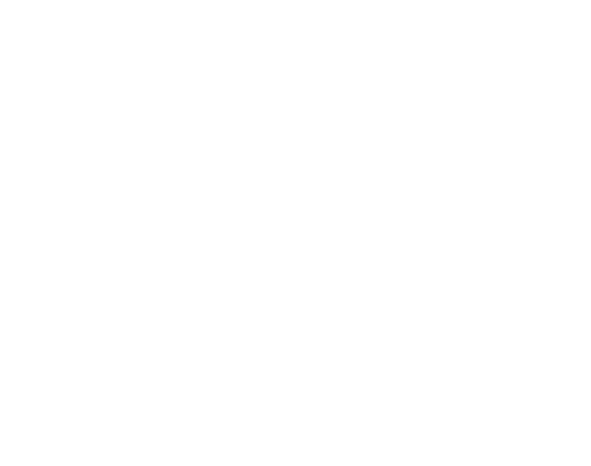 Maxis Group DOO