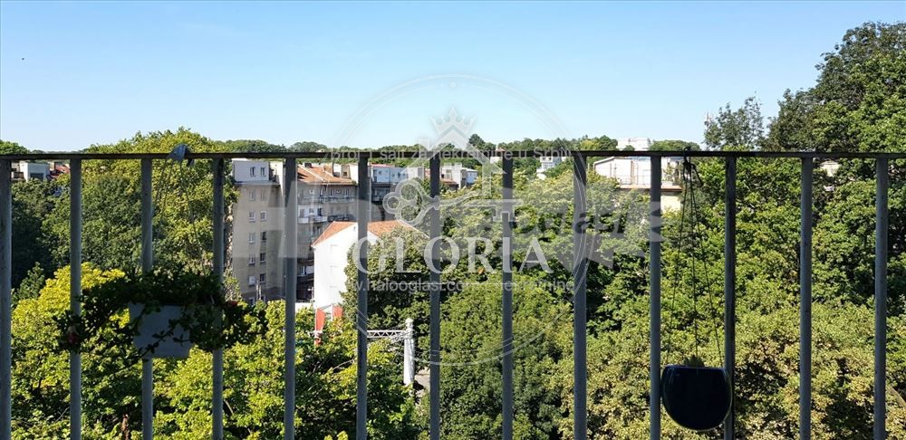 1,5-комнатная квартира, 30 м², Павильони, Новый Белград, фото 10
