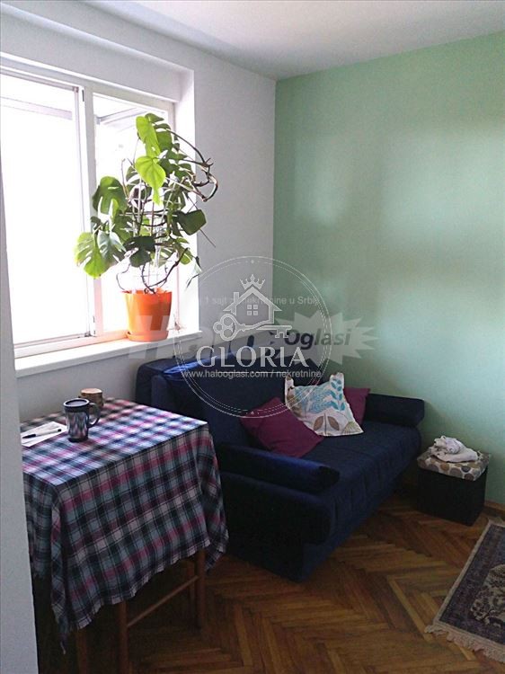 1,5-комнатная квартира, 30 м², Павильони, Новый Белград, фото 8
