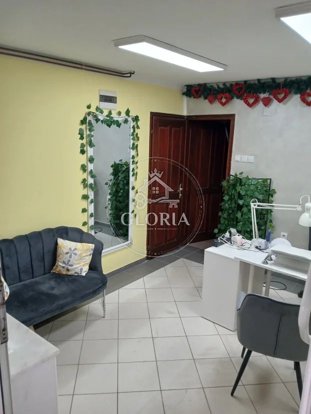 Квартира, 250 м², Земун, фото 12