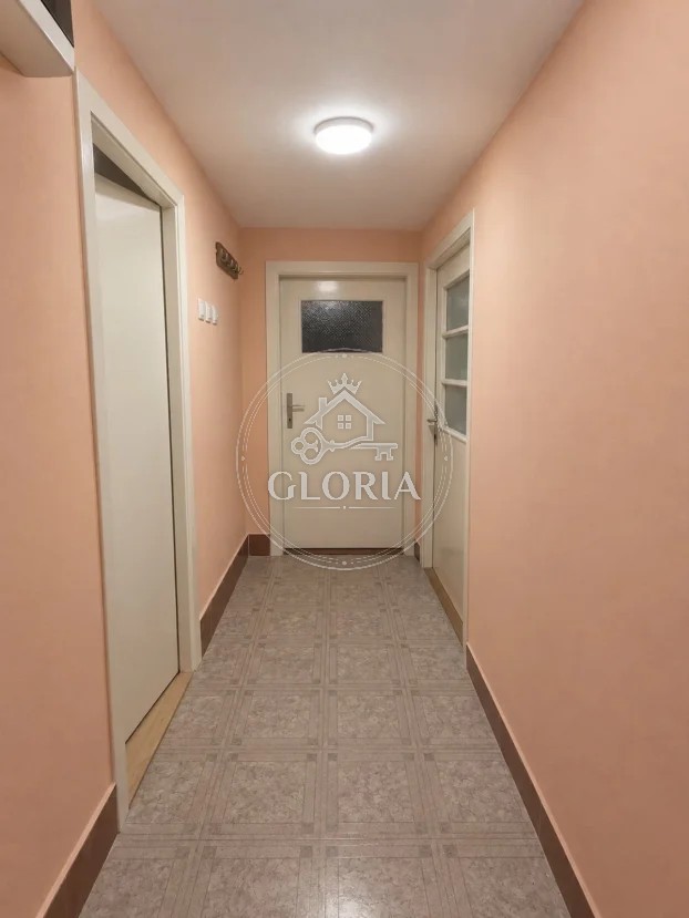 Однокомнатная квартира, 50 м², Вождовац, фото 5