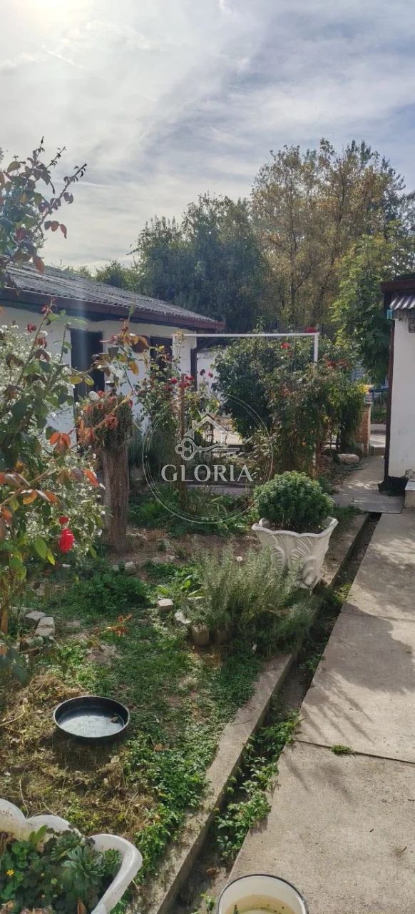 Дом, 400 м², Крняча, Палилула, фото 6