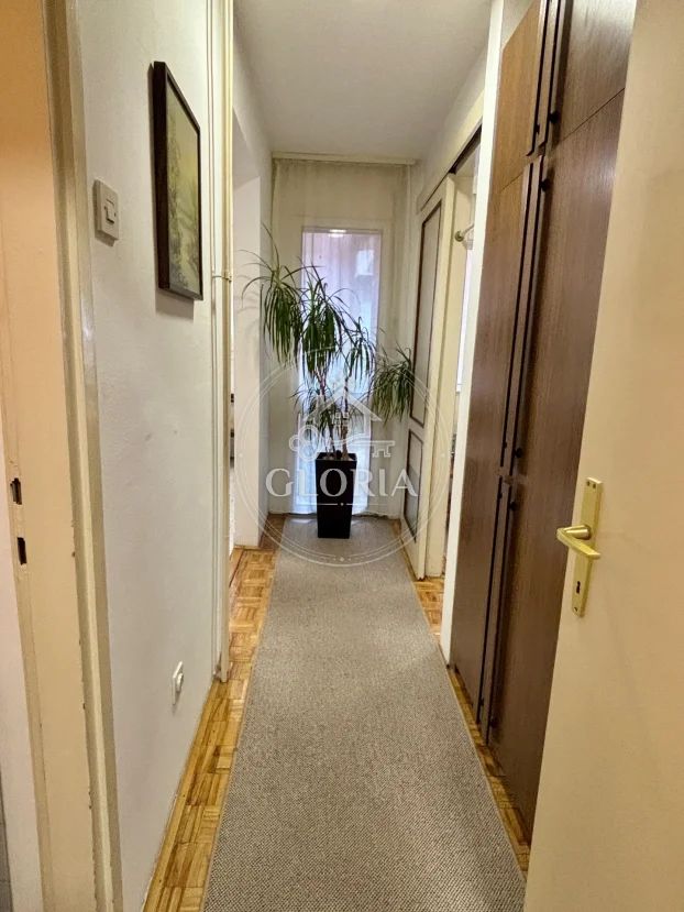 2,5-комнатная квартира, 62 м², Земун, фото 10