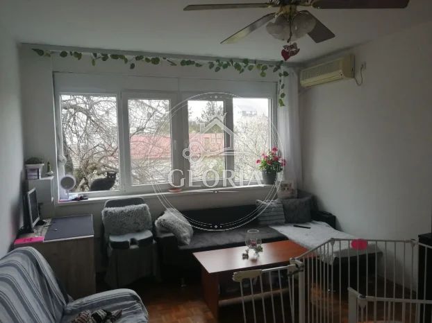 1,5-комнатная квартира, 53 м², Палилула, фото 2