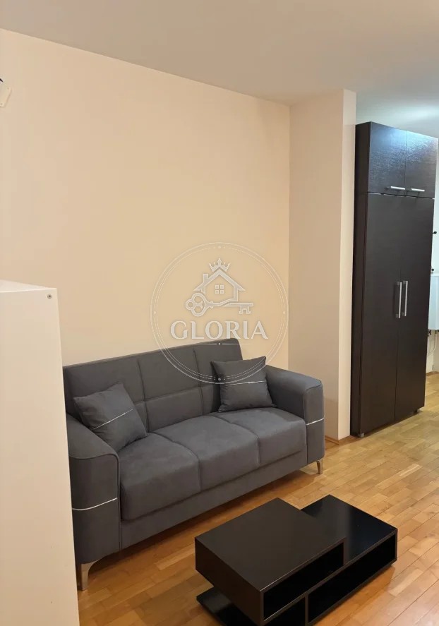 Студия, 30 м², Войводе Влаховича, Вождовац