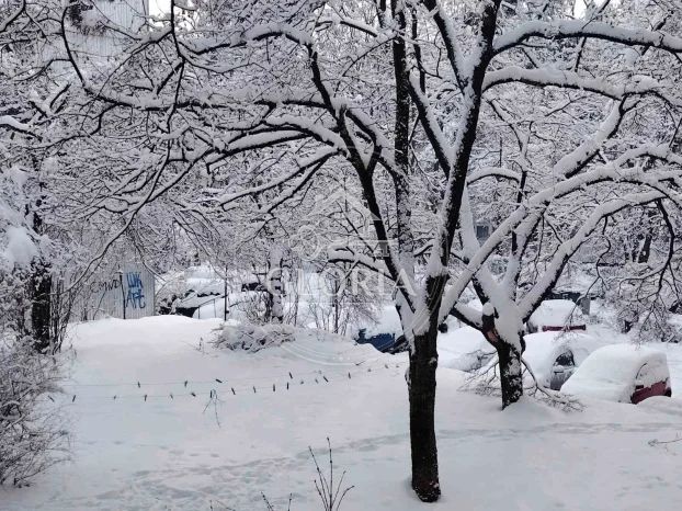 Однокомнатная квартира, 38 м², Вождовац, фото 12